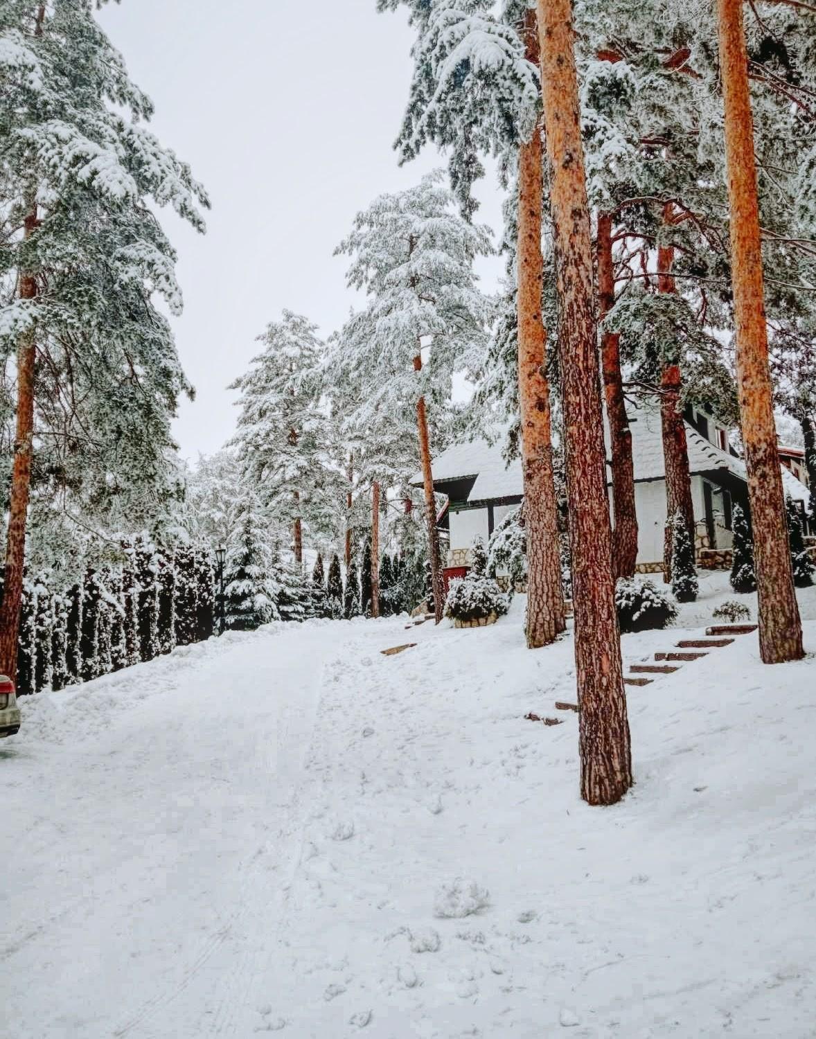 Matija Lux Konaci Apartamento Zlatibor Exterior foto